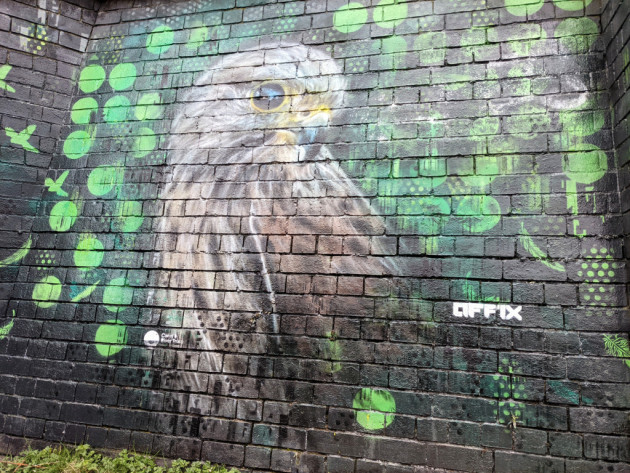 Mural of a Kestrel